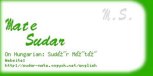 mate sudar business card